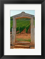 Framed Stone Portico to the Vineyard Chevalier-Montrachet