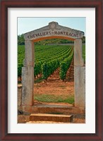 Framed Stone Portico to the Vineyard Chevalier-Montrachet
