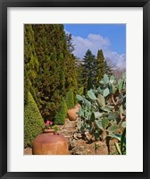 Framed Botanical Garden in Balchik