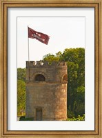 Framed Tower in Vineyard at Chateau Cos d'Estournel, France