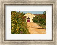 Framed Petit Verdot Vines and Winery
