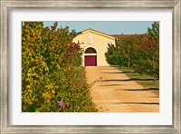 Framed Petit Verdot Vines and Winery