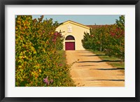 Framed Petit Verdot Vines and Winery