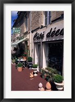 Framed Flower Store, Normandy, France