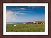 Framed Farm by Cap Blanc Nez, Escalles
