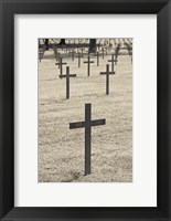 Framed Neuville St-Vaast, WWI German military cemetery, Pas de Calais, France