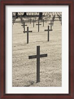 Framed Neuville St-Vaast, WWI German military cemetery, Pas de Calais, France