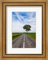 Framed Road through the countryside, Beaumont, Somme, Picardy, France