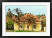 Framed House in Tokaj Village, Mad, Hungary