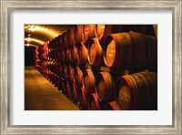 Framed Barrels of Tokaj Wine in Disznoko Cellars, Hungary