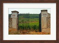 Framed Iron Gate to the Vineyard Clos Pitois