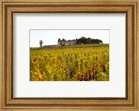 Framed Vineyard and Medieval Chateau