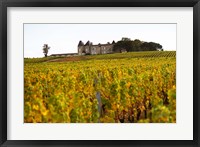 Framed Vineyard and Medieval Chateau