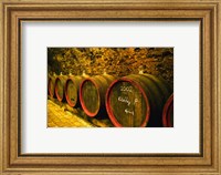 Framed Kiralyudvar Winery Barrels with Tokaj Wine, Hungary
