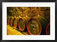 Framed Kiralyudvar Winery Barrels with Tokaj Wine, Hungary