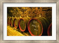 Framed Kiralyudvar Winery Barrels with Tokaj Wine, Hungary