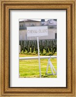 Framed Vineyard and Chateau Cheval Blanc