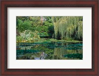 Framed Claude Monet's Garden Pond in Giverny, France