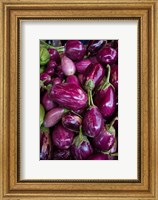 Framed Purple Eggplant, Seafront Market