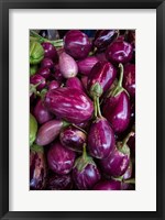 Framed Purple Eggplant, Seafront Market