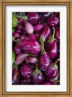 Framed Purple Eggplant, Seafront Market