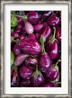 Framed Purple Eggplant, Seafront Market