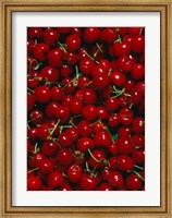 Framed Cherries, Normandy, France