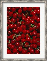 Framed Cherries, Normandy, France