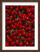 Framed Cherries, Normandy, France