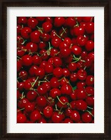 Framed Cherries, Normandy, France