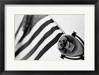 Framed Black and White American Flag