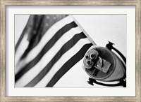 Framed Black and White American Flag