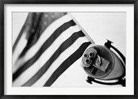 Framed Black and White American Flag