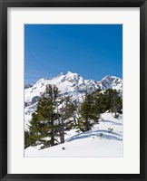 Framed National Park Hohe Tauern, Austria II