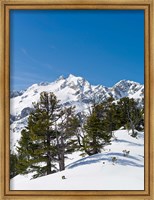 Framed National Park Hohe Tauern, Austria II