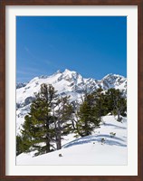 Framed National Park Hohe Tauern, Austria II