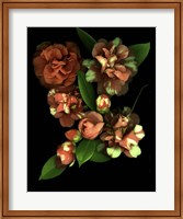 Framed Camellia 3