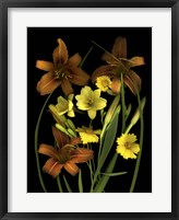 Framed Lilies & Coreopsis