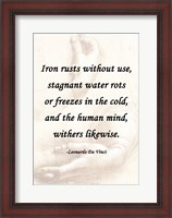 Framed Iron Rusts Without Use -Da Vinci Quote