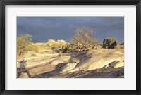 Framed Canyonland 14
