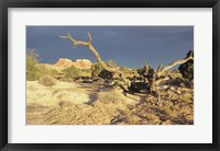 Framed Canyonland 13