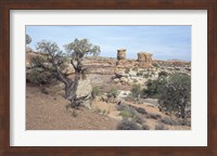 Framed Canyonland 8