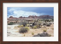 Framed Canyonland 7