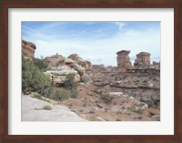Framed Canyonland 5
