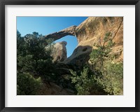 Framed Arches 14