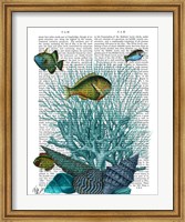 Framed Fish Blue Shells and Corals