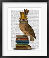 Framed Owl On Books