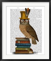 Framed Owl On Books