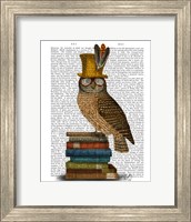 Framed Owl On Books