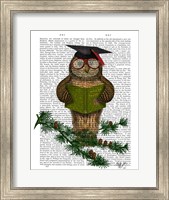Framed Owl Reading On Branch